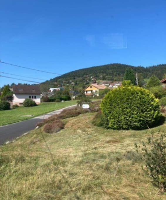 Les Deux Maisons - Little Green - Maison Cosy Proche Pistes Et Lac Gérardmer Εξωτερικό φωτογραφία